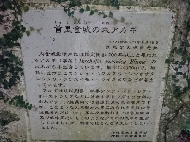 イメージ 9