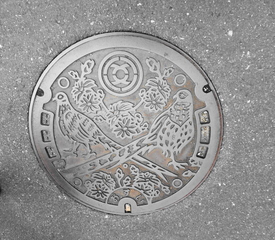 秩父市汚水、山鳥ときぶね菊のデザイン