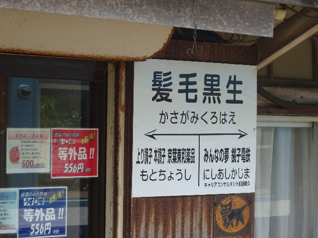 イメージ 5