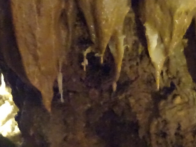 DSC08131