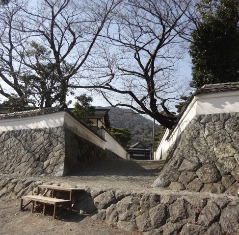 イメージ 5