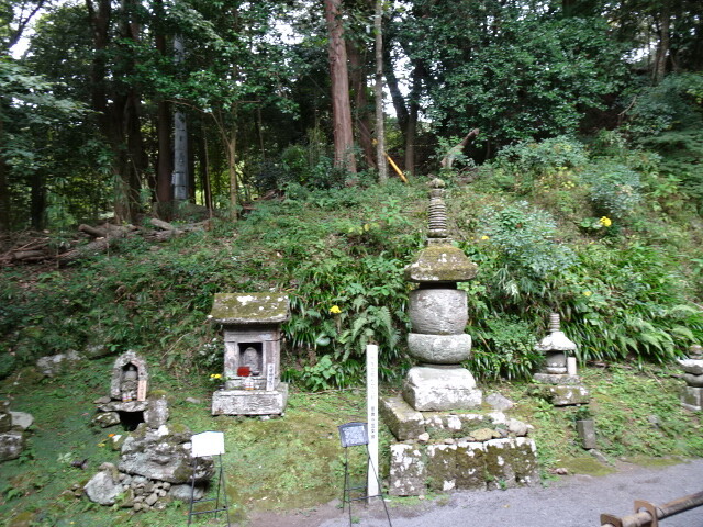 DSC04445