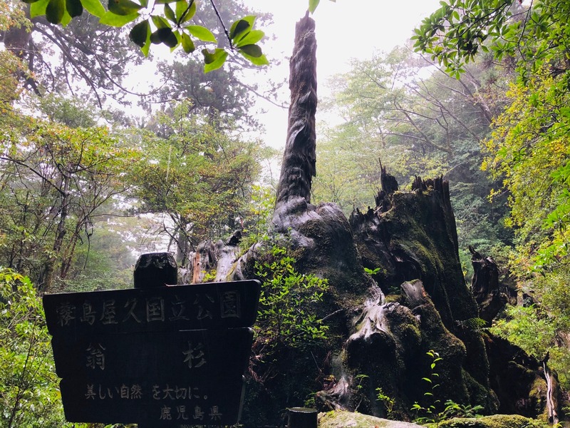 翁すぎ２