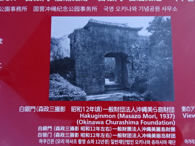 イメージ 8