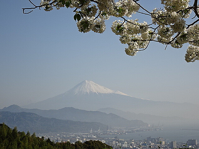 富士と桜