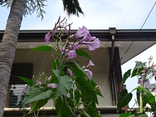 DSC04367