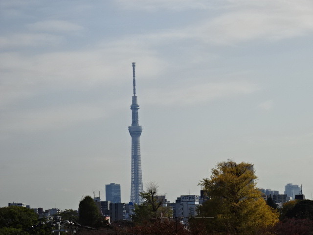 イメージ 11