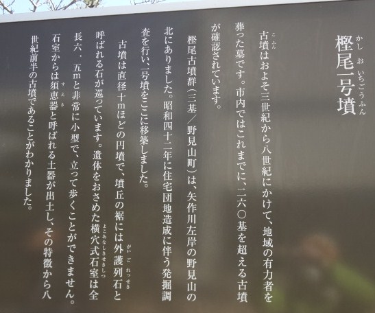 イメージ 7