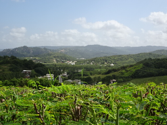 少ない山地