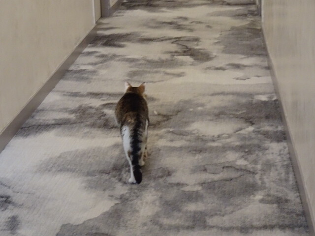 館内を見回り (4)