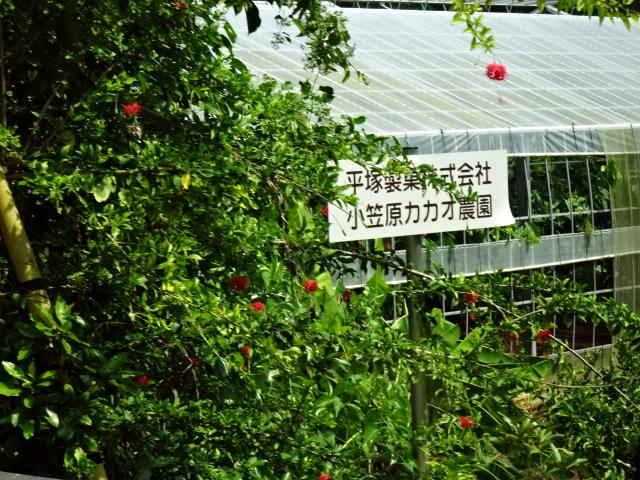 DSC04608