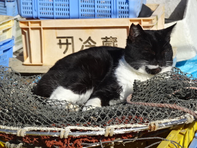 室津の港で (5)