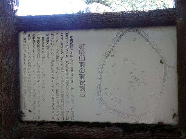 DSC04537