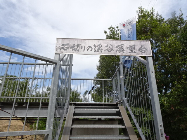 DSC09787