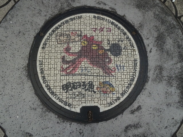 明石市。マダコ
