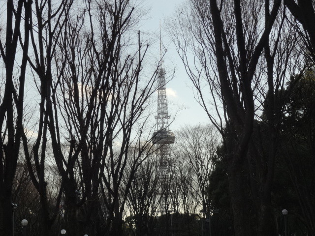 イメージ 6