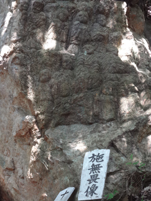 イメージ 6