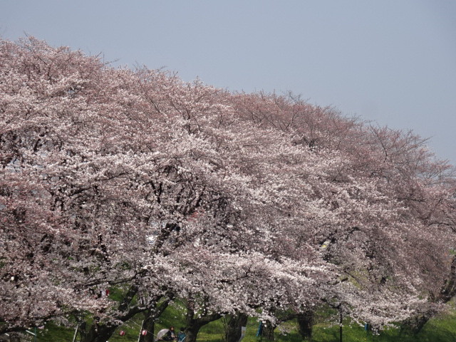 イメージ 9