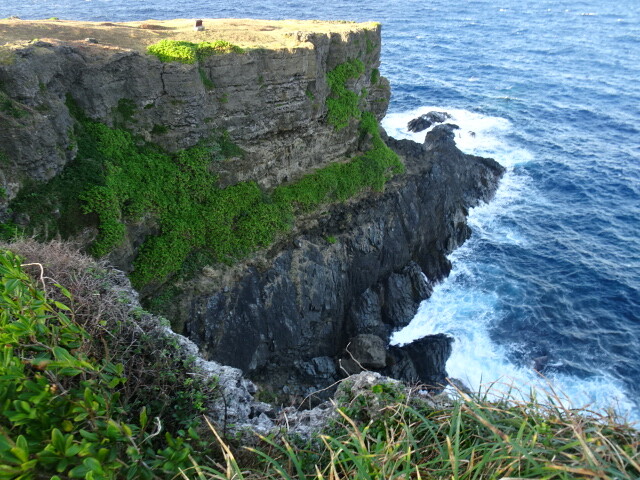 田皆岬