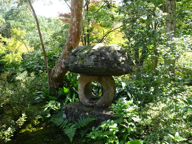 種類の違う灯籠が沢山