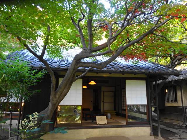 イメージ 13