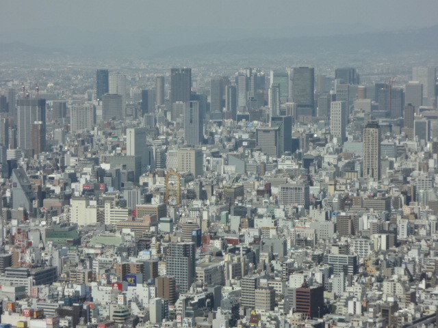 イメージ 12