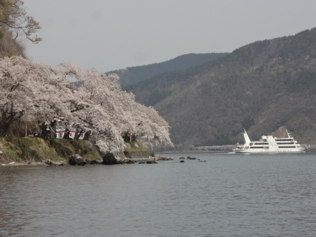 イメージ 6