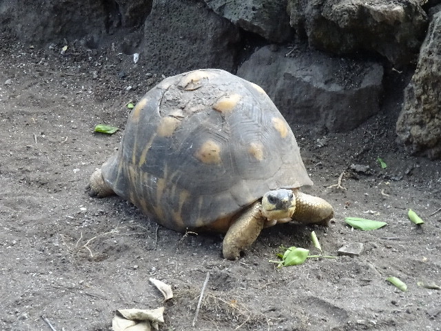 イメージ 10