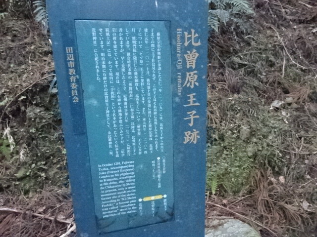 DSC06701