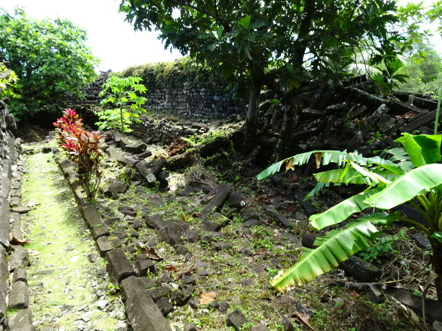 DSC03590