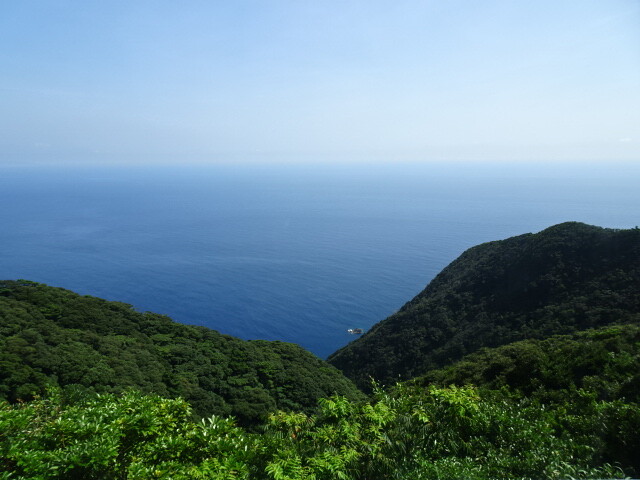 黒島の由来黒い葉っぱ