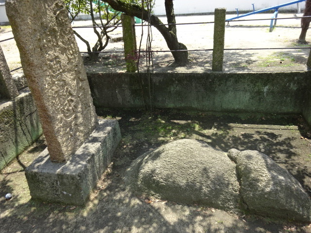 イメージ 7