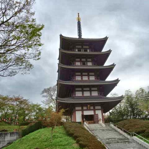 イメージ 17