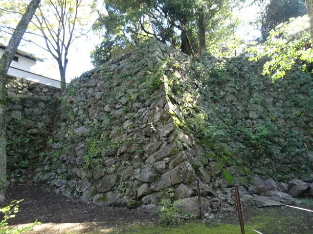 藤兵衛丸石垣