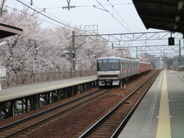 イメージ 6