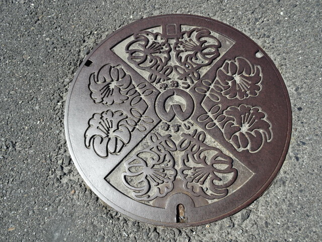 八百津汚水町の花ささゆり