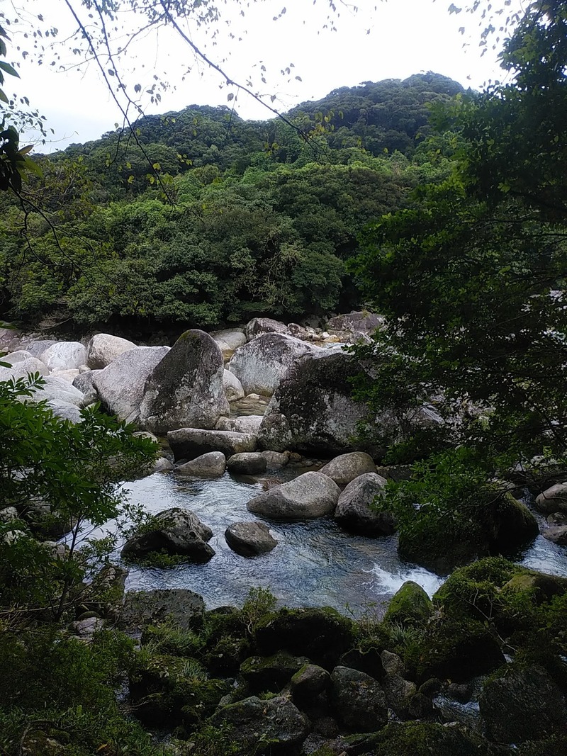 水の島 屋久島 好きなもの 猫と旅と