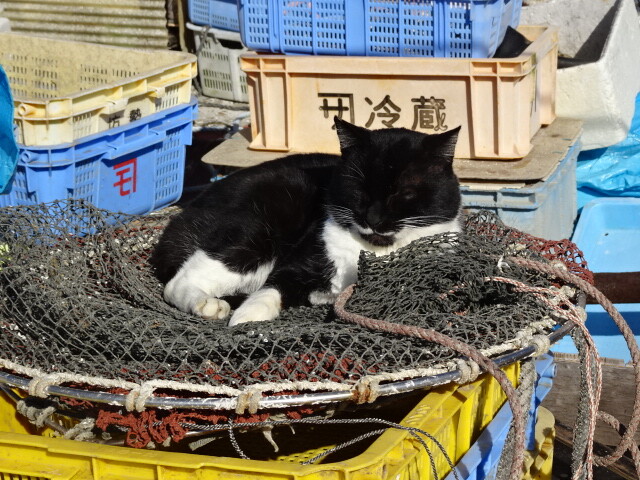 室津の港で (4)