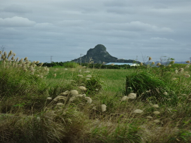 滑走路から見た城山