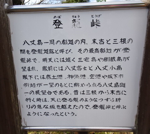 DSC06623