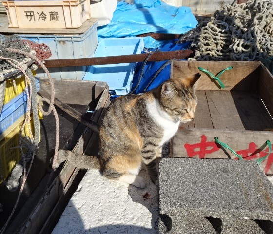 室津の港で (3)