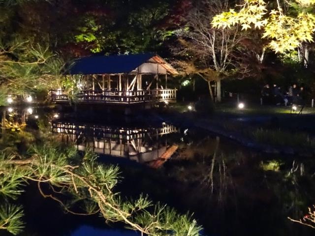 イメージ 6