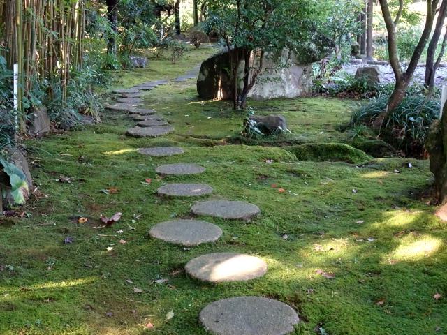 苔道