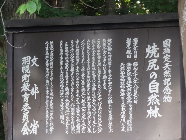 DSC02311