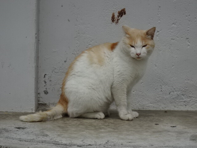 DSC01814