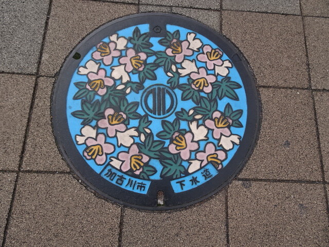 加古川市。カラーマンホール。市の花さつき