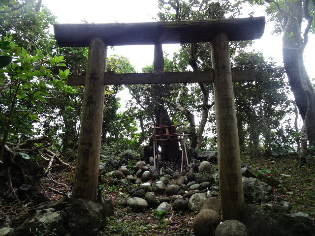 富士様
