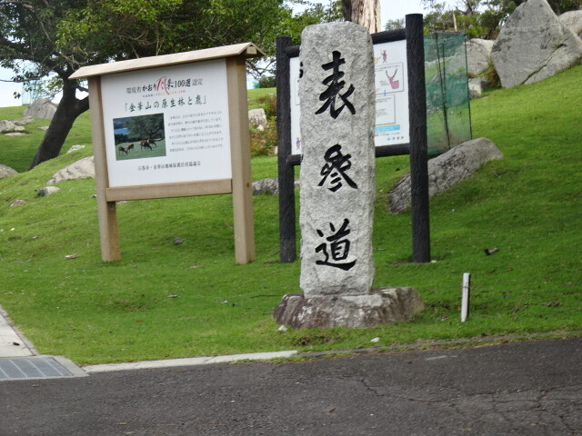DSC05921