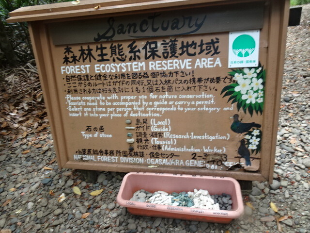 DSC04730