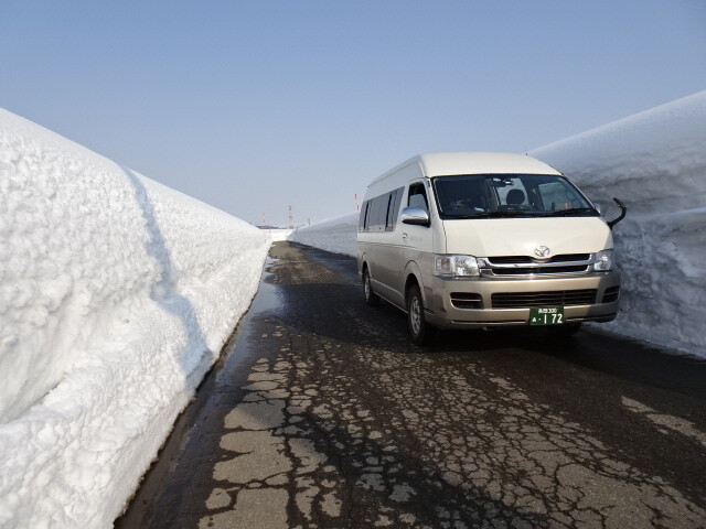 車の高さほども
